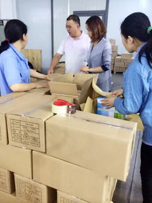 可可獅育兒路上給你安心 環(huán)保咨詢服務(wù)的全程陪伴